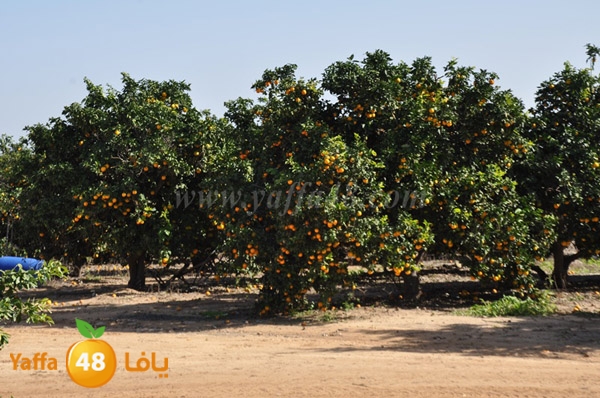 bayara visiting (11).JPG